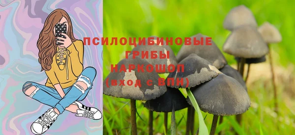 герыч Богородск