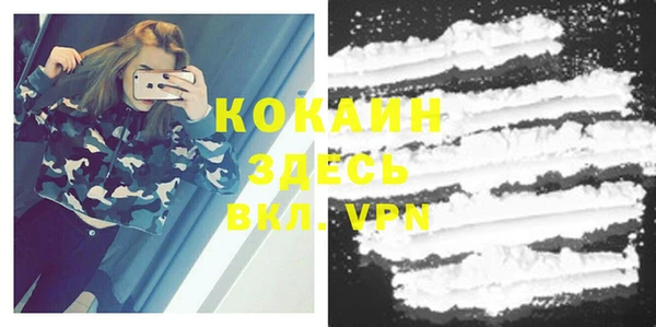 крисы Богданович
